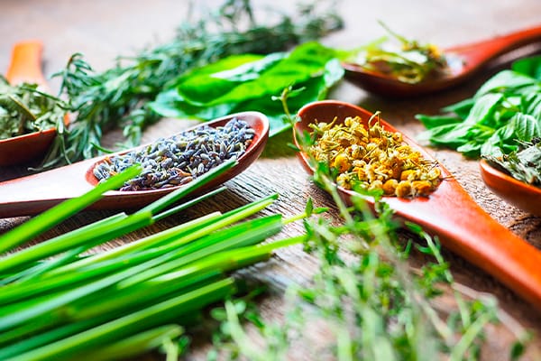 頭皮のニオイ・ベタつき。気になる不快感から解放