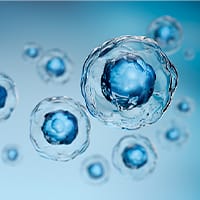 毛包幹細胞培養液