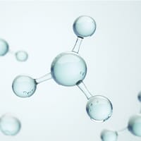 ワイルドラッシュ