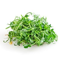 エンドウマメ新芽エキス