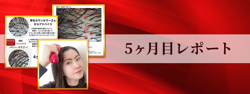 5ヶ月目レポート
