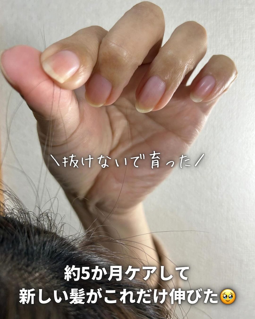 なおなおさん画像